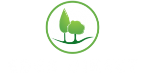 Eden Direct Logo Small